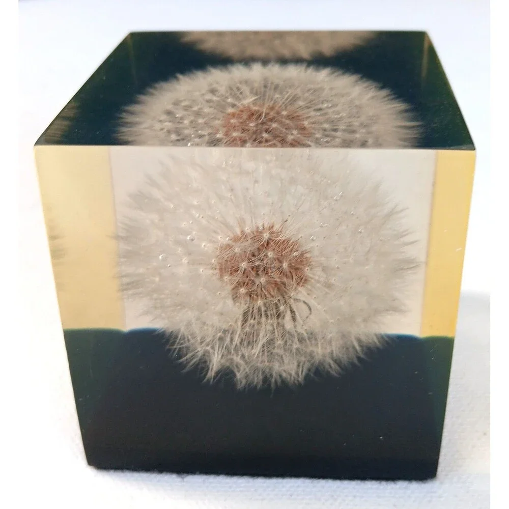 Vintage Dandelion Lucite Resin Cube Paperweight  Shoreline 2 3/8